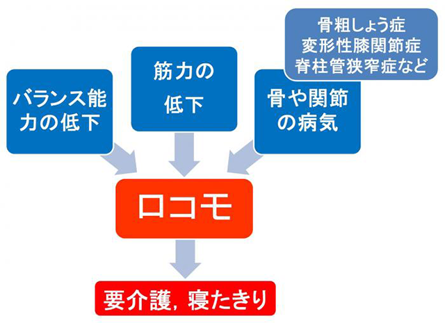 「ロコモ認知度　全国　岐阜県」の画像検索結果